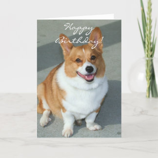 Feliz cumpleaños Welsh Corgi Tarjeta de saludo