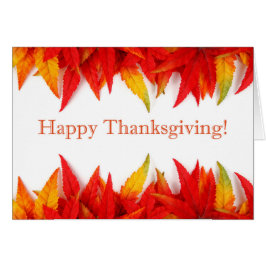 ¡Feliz Día de Acción de Gracias!