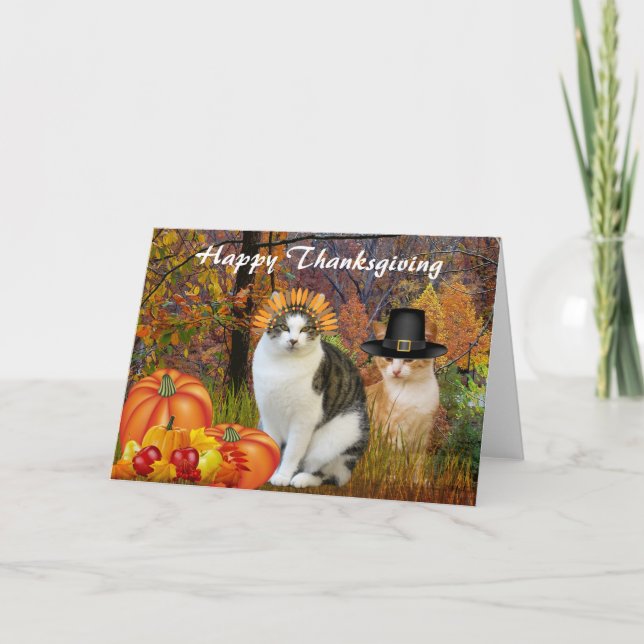 Feliz Día de Acción de Gracias a un grupo de gatos (Anverso)