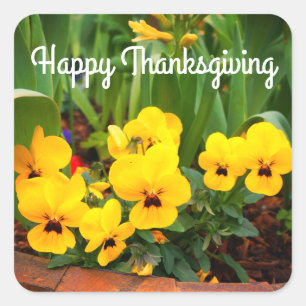 Feliz Día de Acción de Gracias, Pegatinas de Pansy