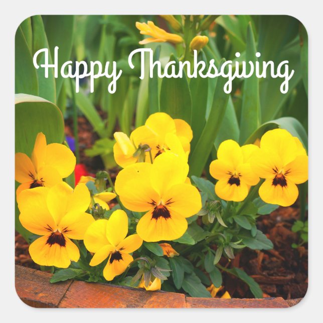 Feliz Día de Acción de Gracias, Pegatinas de Pansy (Anverso)