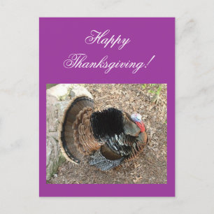 ¡Feliz Día de Acción de Gracias! - Tarjeta de agra