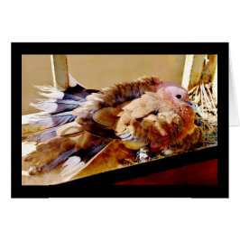 ¡Feliz Día de la Madre!