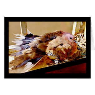 ¡Feliz Día de la Madre!