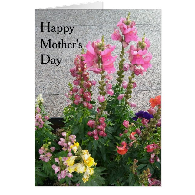 Feliz Día de la Madre (Frente)