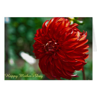 Feliz Día de la Madre