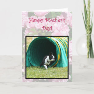 Feliz Día de la Madre, Agilidad, tarjeta de Boston