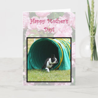 Feliz Día de la Madre, Agilidad, tarjeta de Boston