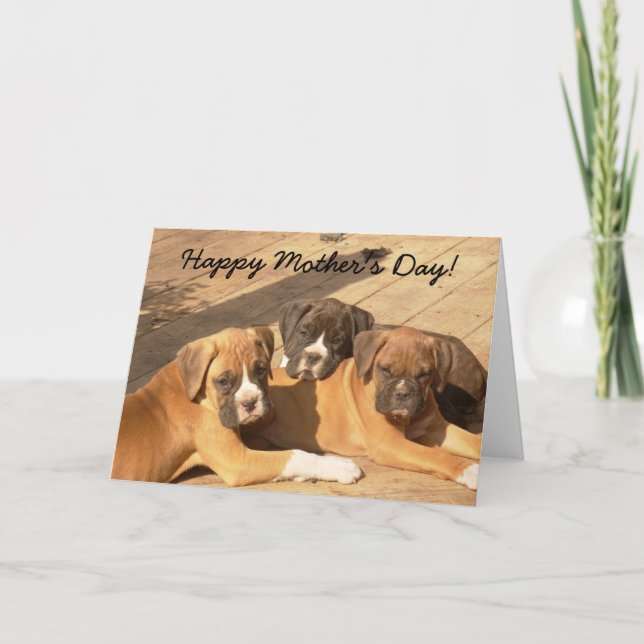 Feliz Día de la Madre Boxer cachorros tarjeta de s (Anverso)