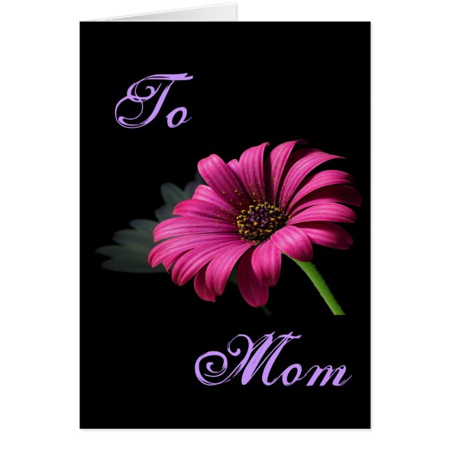 Feliz Día de la Madre, brillante Daisy Rosa I (Frente)