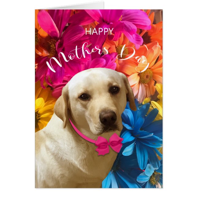 Feliz Día de la Madre, Labrador, tarjeta de amante (Frente)