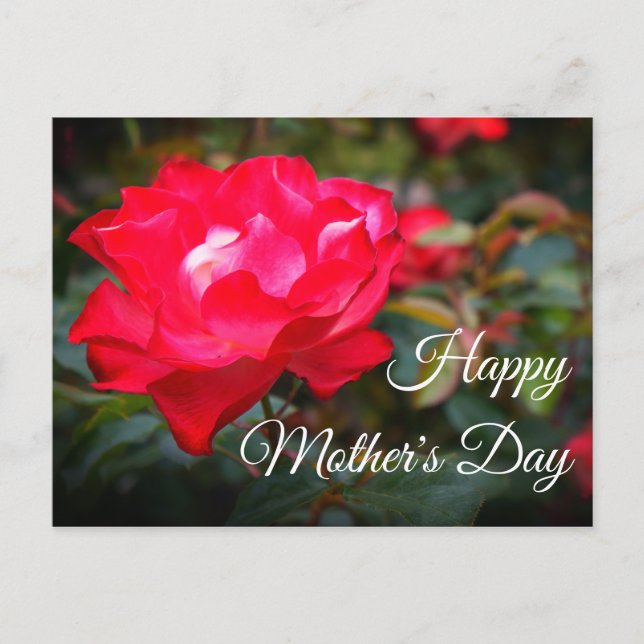 Feliz Día de la Madre Rosa de parfait #2 postal (Anverso)