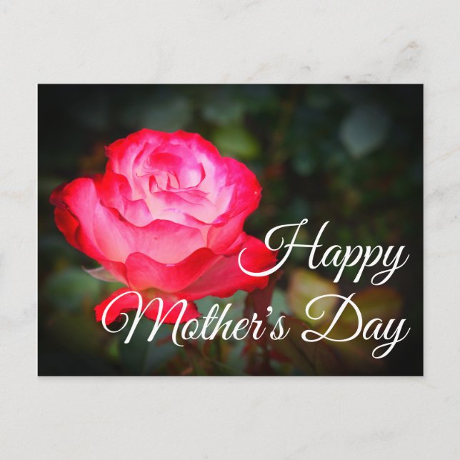 Feliz Día de la Madre Rosa de parfait #3 postal (Anverso)