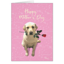 Feliz Día de la Madre, Rosa de perro de Labrador,