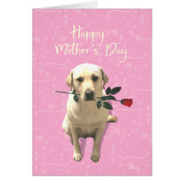 Feliz Día de la Madre, Rosa de perro de Labrador,