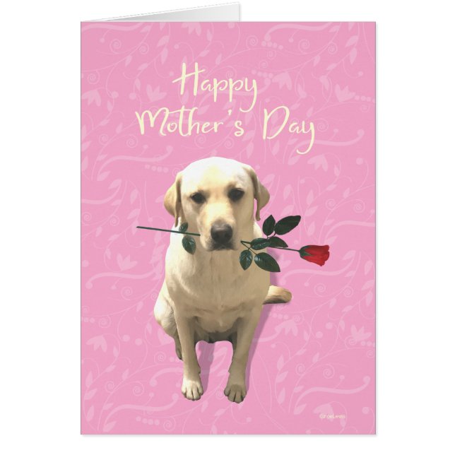 Feliz Día de la Madre, Rosa de perro de Labrador,  (Frente)