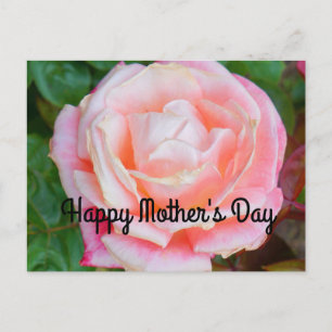 Feliz Día de la Madre Rosa Gemini #1 postal