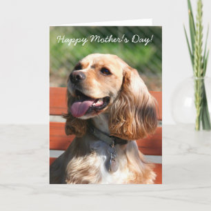 Feliz Día de la Madre Tarjeta de felicitación de e