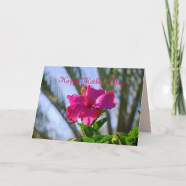 Feliz Día de la Madre, tarjeta de Hibiscus Pink