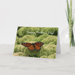 Feliz Día de la Madre, tarjeta de mariposa