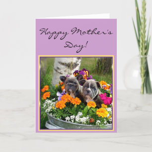 Feliz día de la madre tarjeta de saludo de bulldog