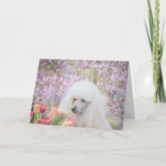 Feliz día de la madre tarjeta de saludo de perro c