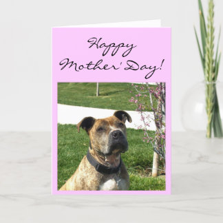 Feliz Día de la Madre Tarjeta de saludo Pitbull