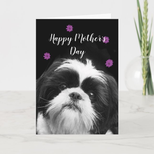 Feliz Día de la Madre Tarjeta de saludo Shih Tzu (Anverso)