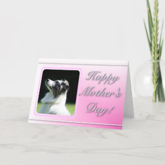 Feliz Día de la Madre Tarjeta Pastora Australiana