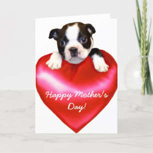 Feliz Día de la Madre Tarjeta Terrier de Boston