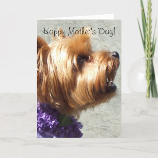 Feliz Día de la Madre, una tarjeta de felicitación