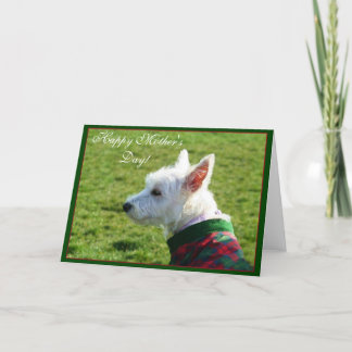 Feliz Día de la Madre Westie tarjeta de saludo