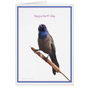 Feliz Día de la Tierra: Grackers comunes