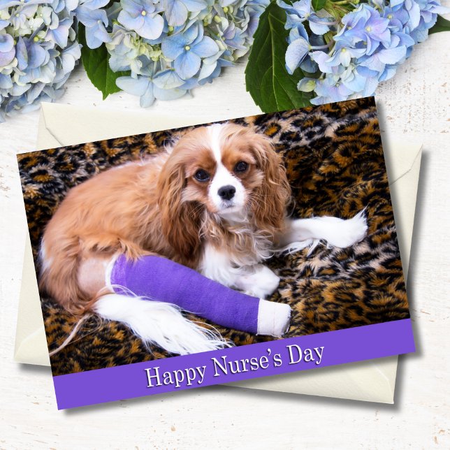 Feliz Día de las Enfermeras Tarjeta Cavalier King  (Subido por el creador)