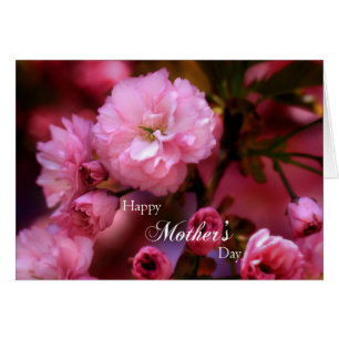 Feliz Día de las Madres Flores de Cerezo Rosadas d