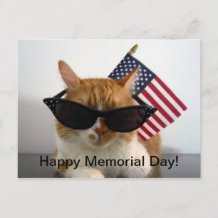 Feliz Día de los Caídos Gato Genial con Tarjeta Po