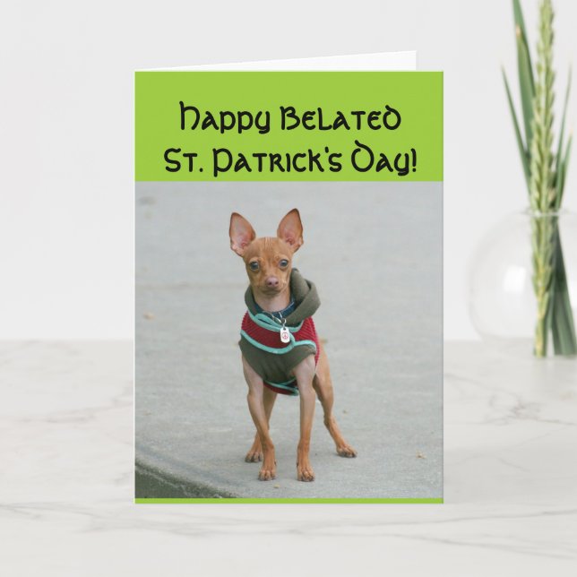 Feliz Día de San Patricio tardío, tarjeta Chihuahu (Anverso)
