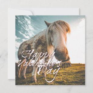 Feliz día de San Valentín con caballo mirando