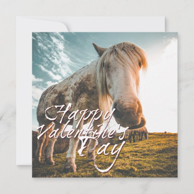 Feliz día de San Valentín con caballo mirando (Anverso)