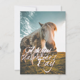 Feliz día de San Valentín con caballo mirando