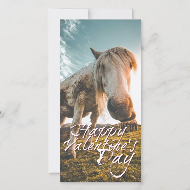 Feliz día de San Valentín con caballo mirando (Anverso)