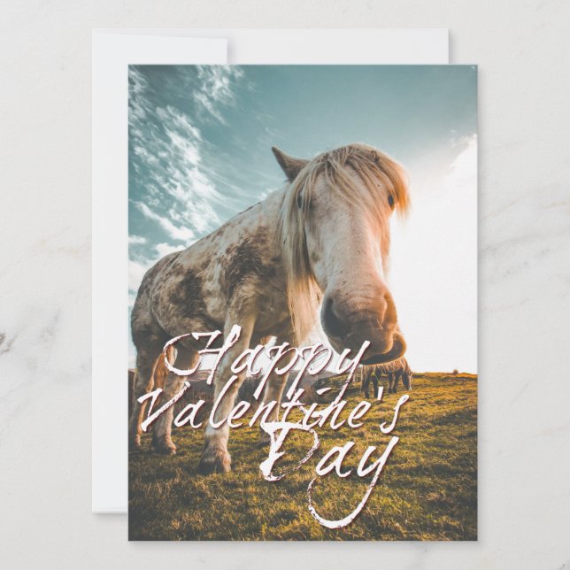 Feliz día de San Valentín con caballo mirando (Anverso)
