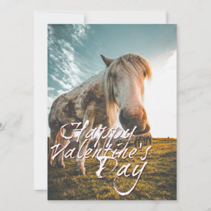 Feliz día de San Valentín con caballo mirando