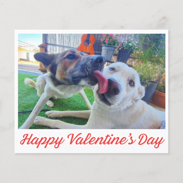 Feliz Día de San Valentín lindo perro foto tarjeta (Anverso)
