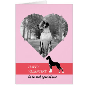 Feliz día de San Valentín mi Gran DAne