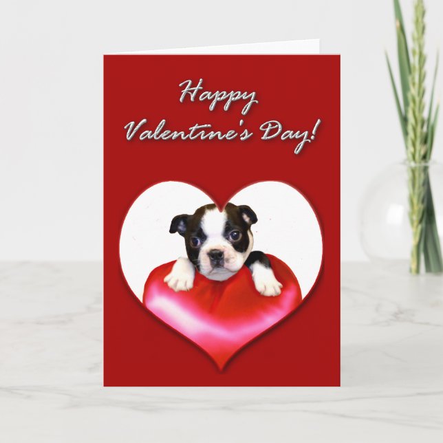 Feliz Día de San Valentín, tarjeta de Boston Terri (Anverso)