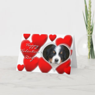 Feliz Día de San Valentín tarjeta de perro de mont