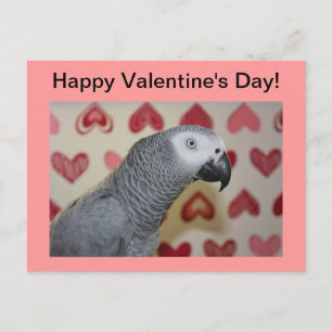 Feliz Día de San Valentín, tarjeta postal africana