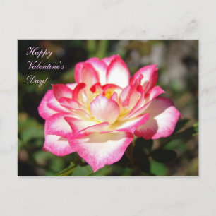 Feliz día de San Valentín! Tarjetas postales Flore