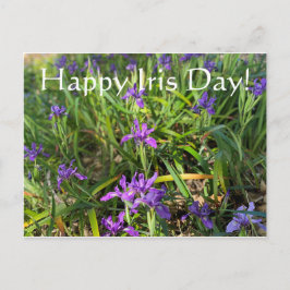 ¡Feliz Día del Iris! Postal